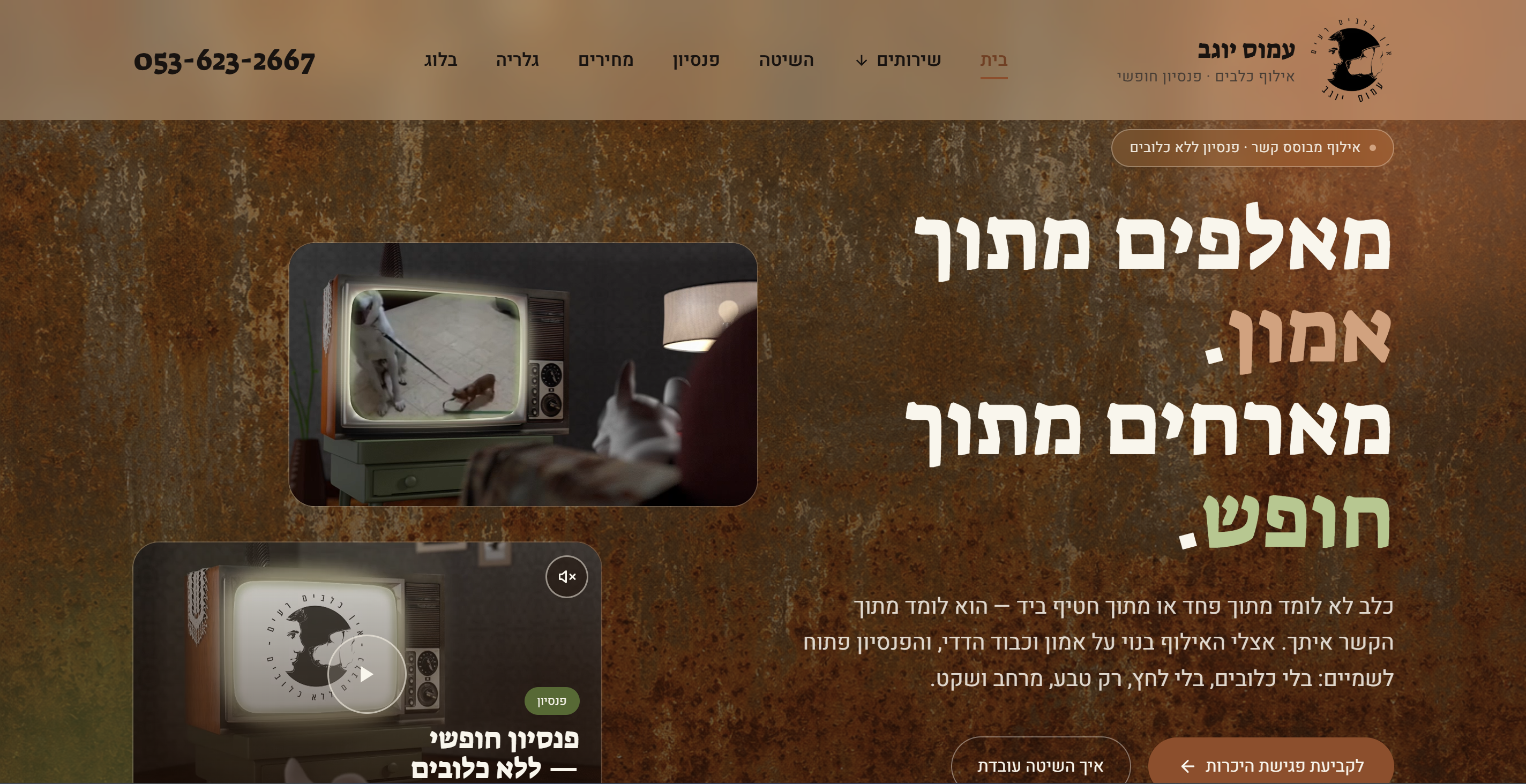 עמוס יוגב